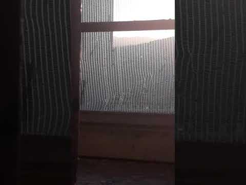 REG 22124 Cosenza-Reggio Calabria in arrivo a Castiglione Cosentino.