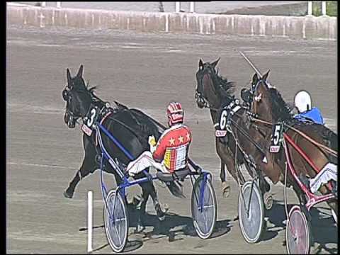 Trotto 30/10/2016 - 2ª corsa