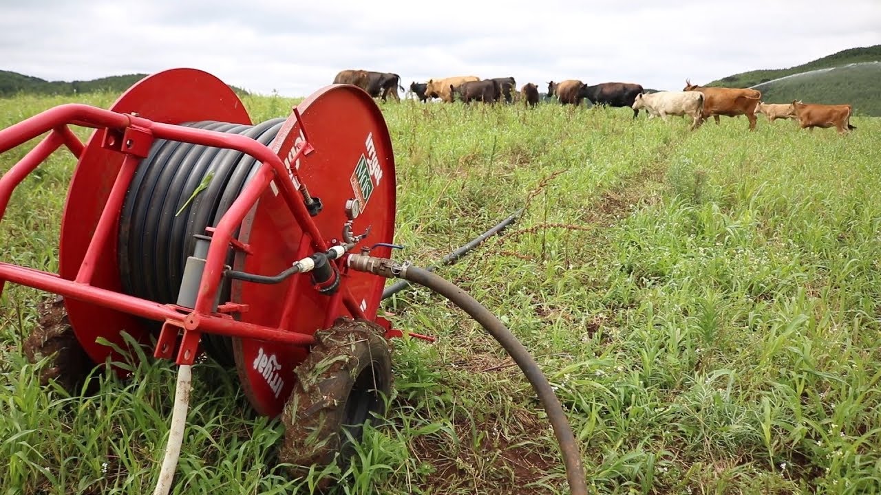 Carretéis de irrigação: pequenos e eficientes!