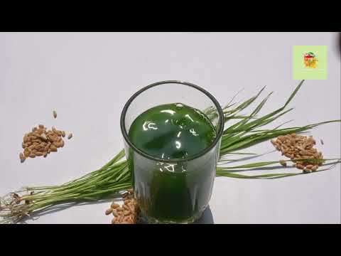 Harness the Nutritional Power of Grass Powders with Green Source Organics