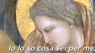 Haja o que houver con traduzione italiana