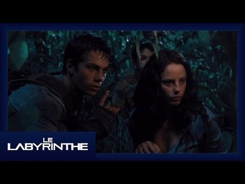 Le Labyrinthe - Extrait Attaque nocturne [Officiel] VF HD
