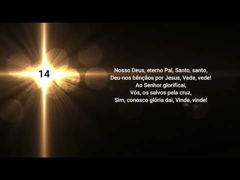 HINO LOUVOR - HNC 14