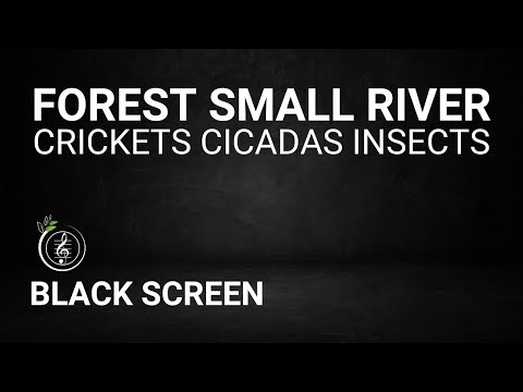 Sound of Forest and Small River | Crickets, Cicadas, Insects | 9 hours Nature Sound