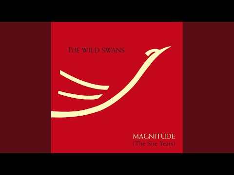 Bitterness - The Wild Swans