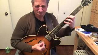 Paul Pieper plays Pat Metheny's "Sirabhorn"