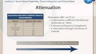 Echo CME: Ultrasound Physics