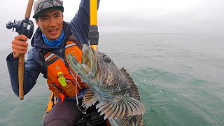 SAVAGE LINGCOD Destroys my Bait and Puts up Epic Battle off the California Coast