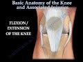 Knee injury ,Injuries - Everything You Need To Know ...