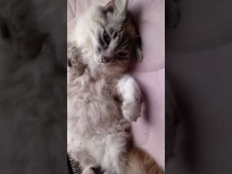 15 de octubre de 2017