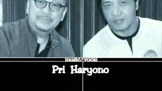 Pri Haryono (solo guitar)~CITA CITA KECIL SI ANAK DESA~