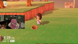 decorating my lovely island |ACNH|