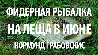 Фадеев ловля леща на фидер в июне