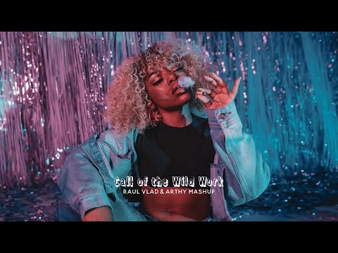 Dam Swindle, Jungle By The Night - Call Of The Wild Work (Dj Raul Vlad & Arthy Mashup Edit)