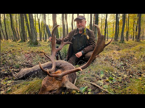I Met Hunters - Episode 510 This is the bull