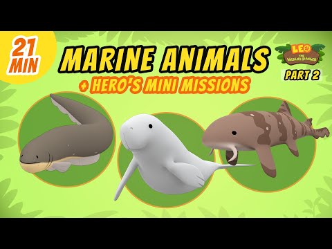 Witness21 Editor  2021 08 06