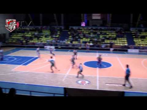 Sestřih utkání Ústí n/L - Jablonec 8:5