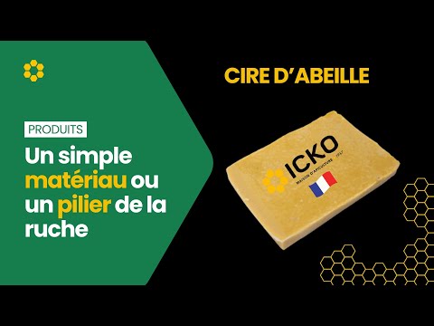 La cire d'abeille : un simple matériau ou un pilier de la ruche ?
