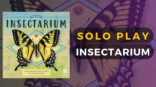 Insectarium Board Game - Full Solo Gameplay - My First Play | DaniCha