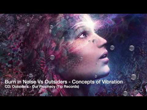 Burn in Noise Vs Outsiders   Concepts of Vibration
