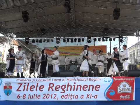 Ansamblul Doina Muresului, Reghin