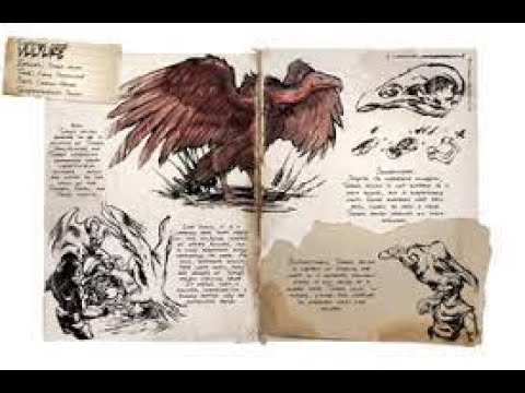 Ark Taming Series Ep. 11 | Vulture | Taming Guide & Spotlight | Ark Survival Evolved
