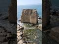 The Crusaders in Ancient Acre
