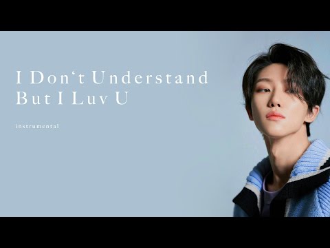 SEVENTEEN: I Don't Understand But I Luv U (Best Instrumental)