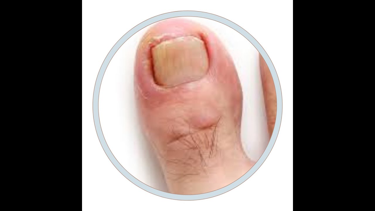 Kassandra Nicolosi-376