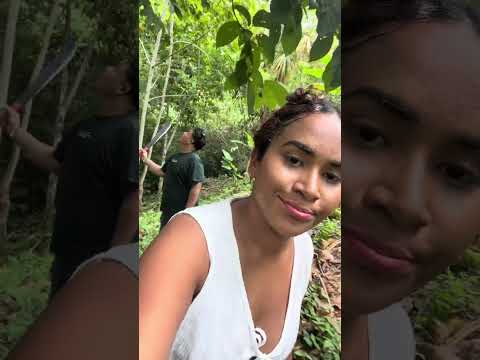 Segunda parte de mi fin de semana en el Carmen de bolivar