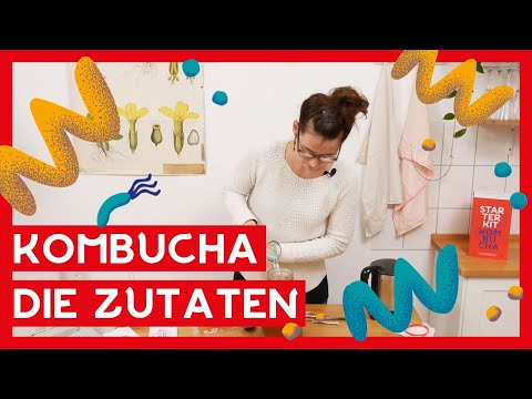 Kombucha Zutaten I Alles was du brauchst ✅