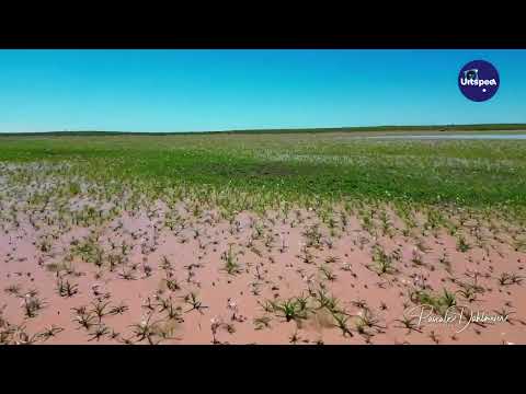 SANDHOF SE KALEIDOSKOOP Vir die van ons wat nie ons draai kon kry om na Farm Sandhof Lilies se