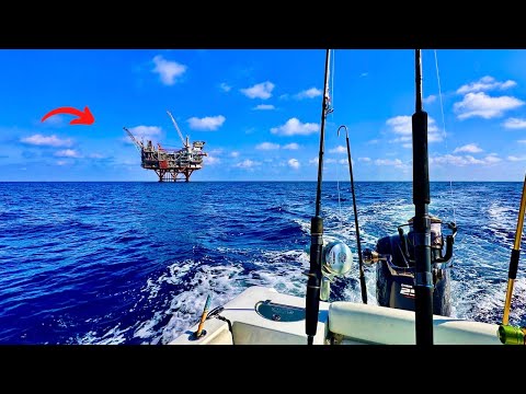 I Took My *23ft* Boat 75 Miles Offshore SOLO and Caught THIS!