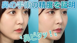 【精度の高さを証明】ヴェリテの鼻ピタっ！