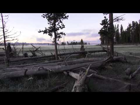 1 Hour - Nature Sounds - White Noise - Sunrise with birds at Yellowstone - Relaxing - Ambience