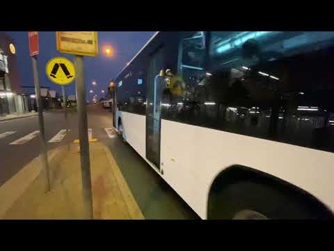 The Custom Coaches Endeavour in Action