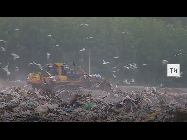 ЧҮП ЯНДЫРУ ЗАВОДЫ ТАБИГАТЬКӘ ЗЫЯНЛЫМЫ? ЧҮП ЯНДЫРУ ЗАВОДЛАРЫ ТУРЫНДА 5 УЙДЫРМА