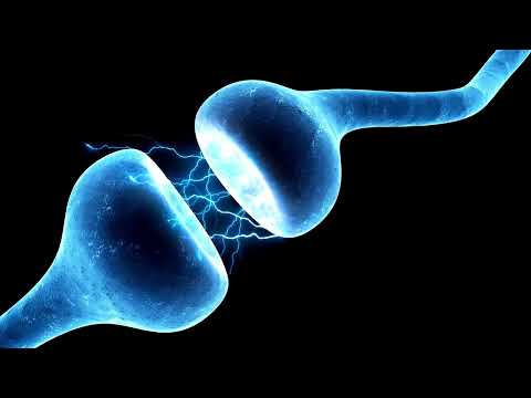 Sinapse elétrica - fonovim