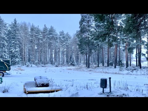 Winter in Pattijoki | Today in Finland 🇫🇮 #1