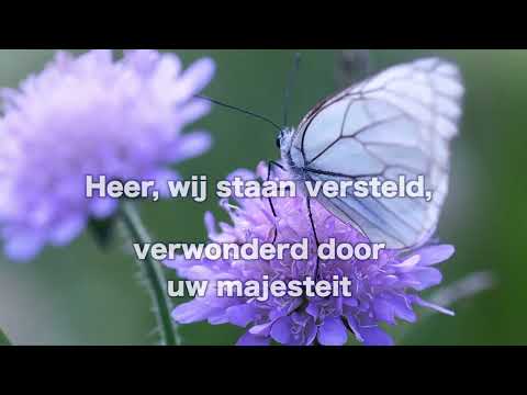 Opwekking 872 Wonderlijke kracht 1B