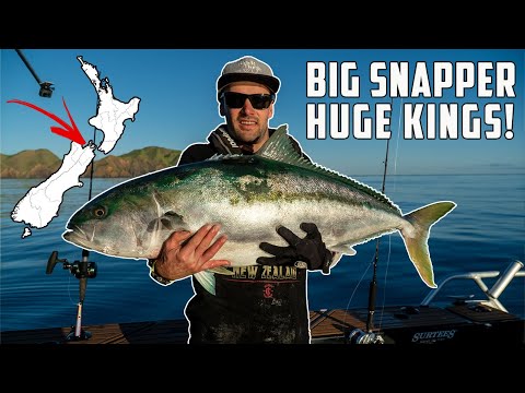 Epic Fishing Trip (4 days fishing & hunting adventure)  S8 EP7 D'Urville Island Part 2