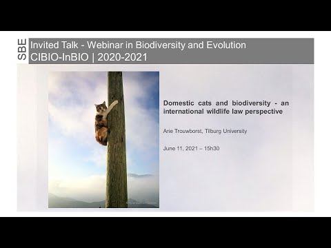 Webinar: Domestic cats and biodiversity - an international wildlife law perspective