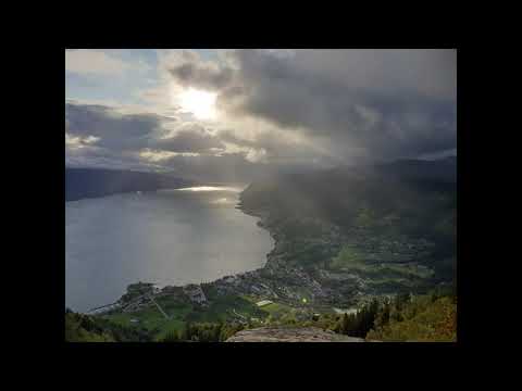 Budeiesteinen 2019 (Leikanger kommune)