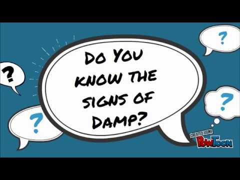 How to Sign Damp Proof Paint in Auslan