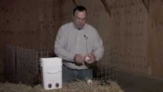 Cutting Pritchard Teats