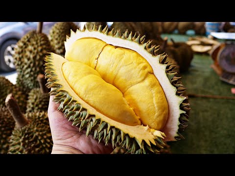 Crazy speed!!! Amazing durian cutting skill master!!!The famous durian store!!!