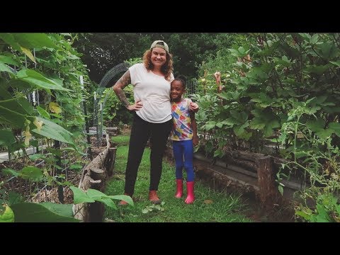 download lagu mp3 mp4 What Is Direct Planting, download lagu What Is Direct Planting gratis, unduh video klip What Is Direct Planting