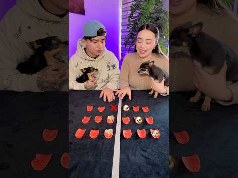 QUIERO OTRO PERRITO 🐶💖