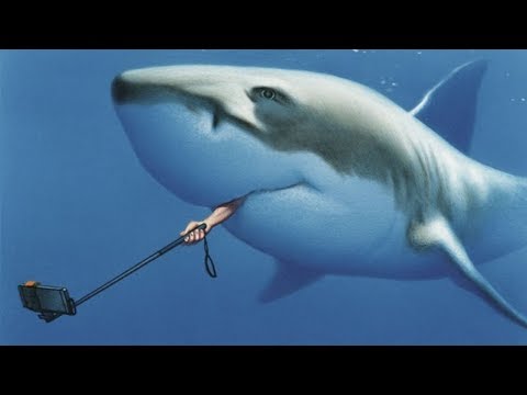 Brutally Honest Illustrations By Gerhard Haderer Show What’s Wrong With Today’s Society