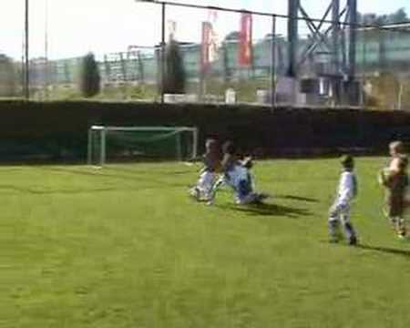 Hoogtepunten Wippolder MF2 - DSO MF2